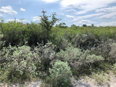 BUILD YOUR DREAM HOME ON THIS ELEVATED LOT IN THE RESTRICTED - Lake Lot For Sale in Sandia, Texas