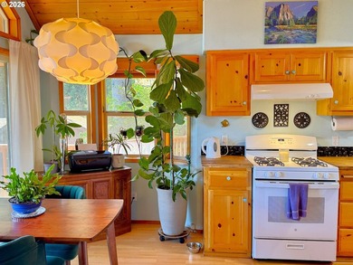 Ocean View Delight! Perched near the top of Whaleshead Beach - photo 24