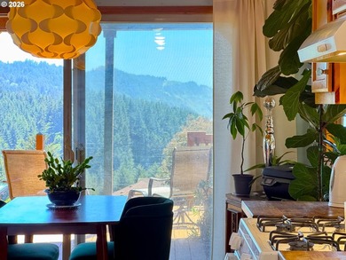 Ocean View Delight! Perched near the top of Whaleshead Beach - photo 25