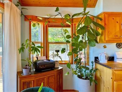 Ocean View Delight! Perched near the top of Whaleshead Beach - photo 27