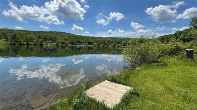 5 minutes to Hamilton - Lebanon Reservoir Waterfront! - photo 28