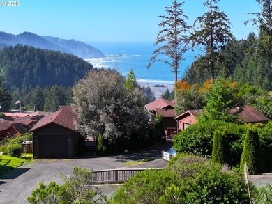 Ocean View Delight! Perched near the top of Whaleshead Beach - photo 45
