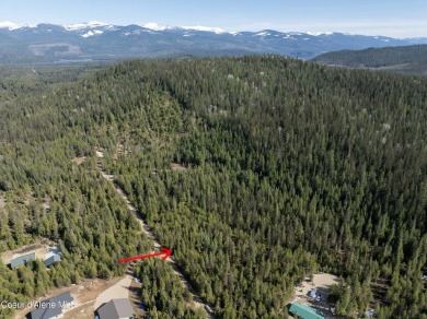 Priest Lake Acreage For Sale in Nordman Idaho