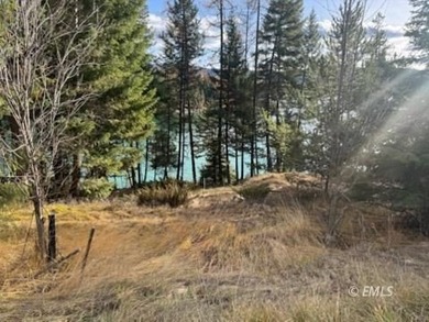 33 acres land gently sloping with 156 feet of Ashley Lake - photo 2