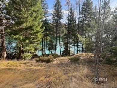 33 acres land gently sloping with 156 feet of Ashley Lake - photo 3