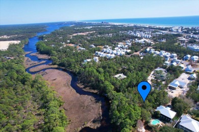 Powell Lake / Phillips Inlet Lot For Sale in Inlet Beach Florida