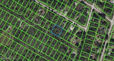 Lake Istokpoga Lot For Sale in Lake Placid Florida