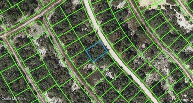 Lake Grassy Lot For Sale in Lake Placid Florida
