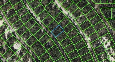 Lake Grassy Lot For Sale in Lake Placid Florida
