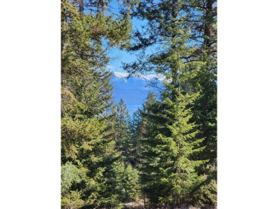 Lake Lot For Sale in Lakeside, Montana