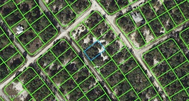Lake Grassy Lot For Sale in Lake Placid Florida