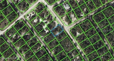 Lake Grassy Lot For Sale in Lake Placid Florida