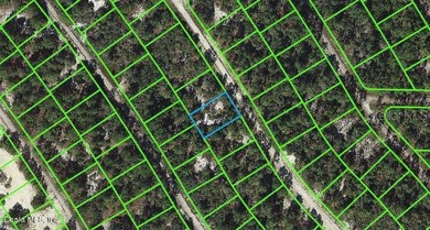 Lake Grassy Lot For Sale in Lake Placid Florida