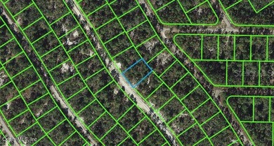 Lake Grassy Lot For Sale in Lake Placid Florida