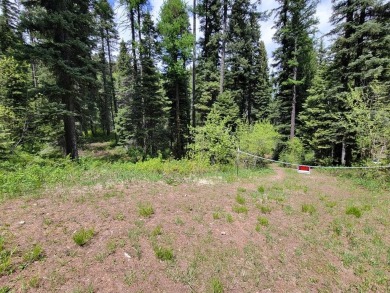 Lake Acreage For Sale in Donnelly, Idaho