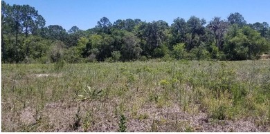 Lake Marion - Polk County Lot For Sale in Kissimmee Florida
