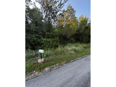 Brazos River - Parker County Lot For Sale in Weatherford Texas