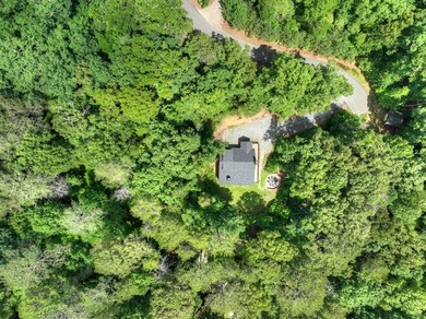 Nestled in the heart of the Blue Ridge Mountains, this adorable - photo 40