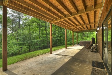 Nestled in the heart of the Blue Ridge Mountains, this adorable - photo 48