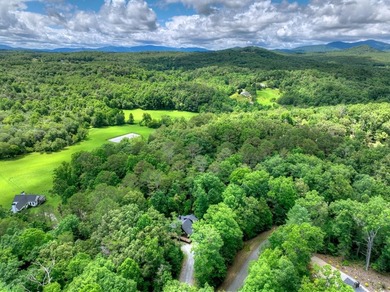 Nestled in the heart of the Blue Ridge Mountains, this adorable - photo 49