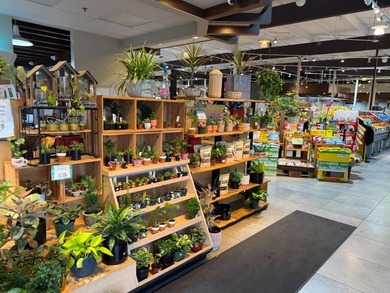 This strategically located grocery store presents an outstanding - photo 2