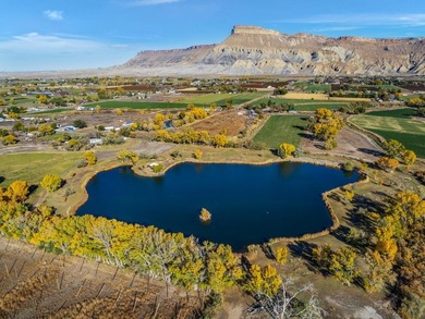 Discover an unparalleled opportunity to own a serene oasis in - photo 3