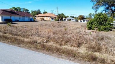 Buildable Lot Near Warm Mineral Springs - Ideal for Builders - photo 4