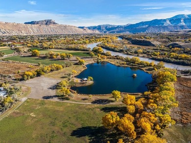 Discover an unparalleled opportunity to own a serene oasis in - photo 5