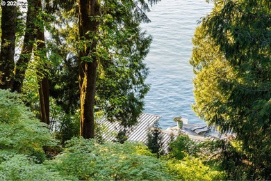 Lake living at its finest with Exceptional privacy. Welcome to - photo 47