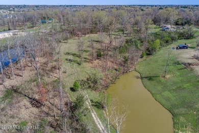 (private lake, pond, coastal) Acreage For Sale in Olive Branch Mississippi