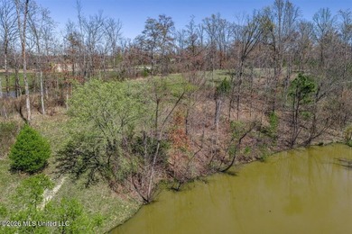 Rare opportunity to own 8.7 beautiful acres near highly - photo 4