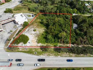 Prime RIVERVIEW commercial site just South of the US #1 and - photo 14