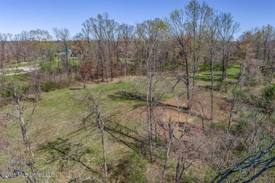 Rare opportunity to own 8.7 beautiful acres near highly - photo 9