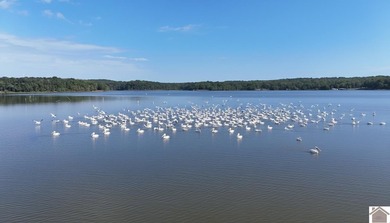 Welcome to 188 Trout Lane, a breathtaking waterfront oasis - photo 41