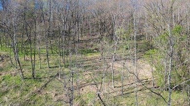Build a home on this partially cleared lot and you will have a - photo 2