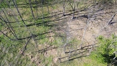 Build a home on this partially cleared lot and you will have a - photo 4