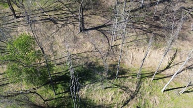 Build a home on this partially cleared lot and you will have a - photo 5