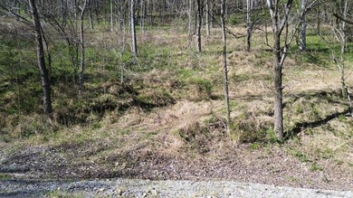 Build a home on this partially cleared lot and you will have a - photo 6