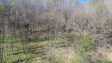 Build a home on this partially cleared lot and you will have a - photo 7