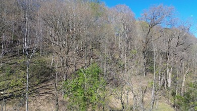 Build a home on this partially cleared lot and you will have a - photo 8