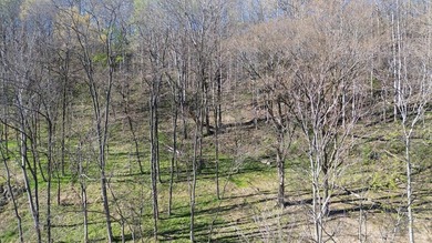 Build a home on this partially cleared lot and you will have a - photo 9