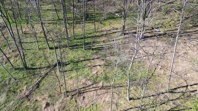 Build a home on this partially cleared lot and you will have a - photo 10