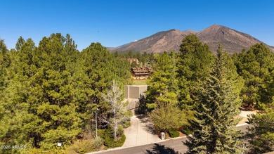 Continental Country Club Golf Course home with a contemporary - photo 11