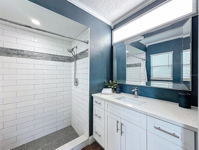 Welcome to your beautifully remodeled home in sunny Tampa Bay! - photo 22