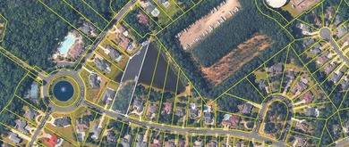 Located on direct pond view in Cypress River Plantation - photo 31