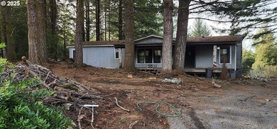 Unlock the potential of this 5.5-acre Brookings property - photo 2