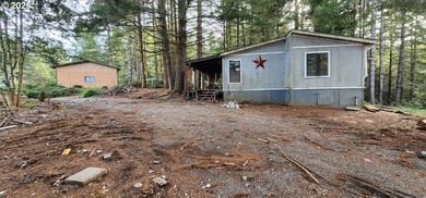 Unlock the potential of this 5.5-acre Brookings property - photo 6