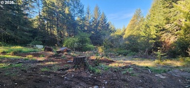 Unlock the potential of this 5.5-acre Brookings property - photo 7