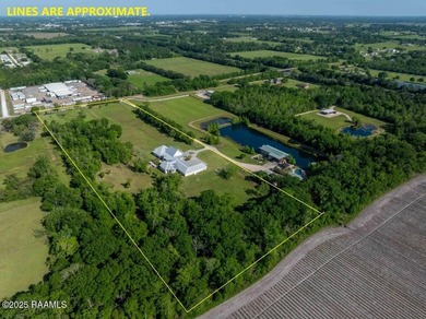 Experience an elevated lifestyle in this expansive, single-level - photo 48