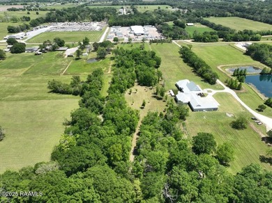 Experience an elevated lifestyle in this expansive, single-level - photo 49